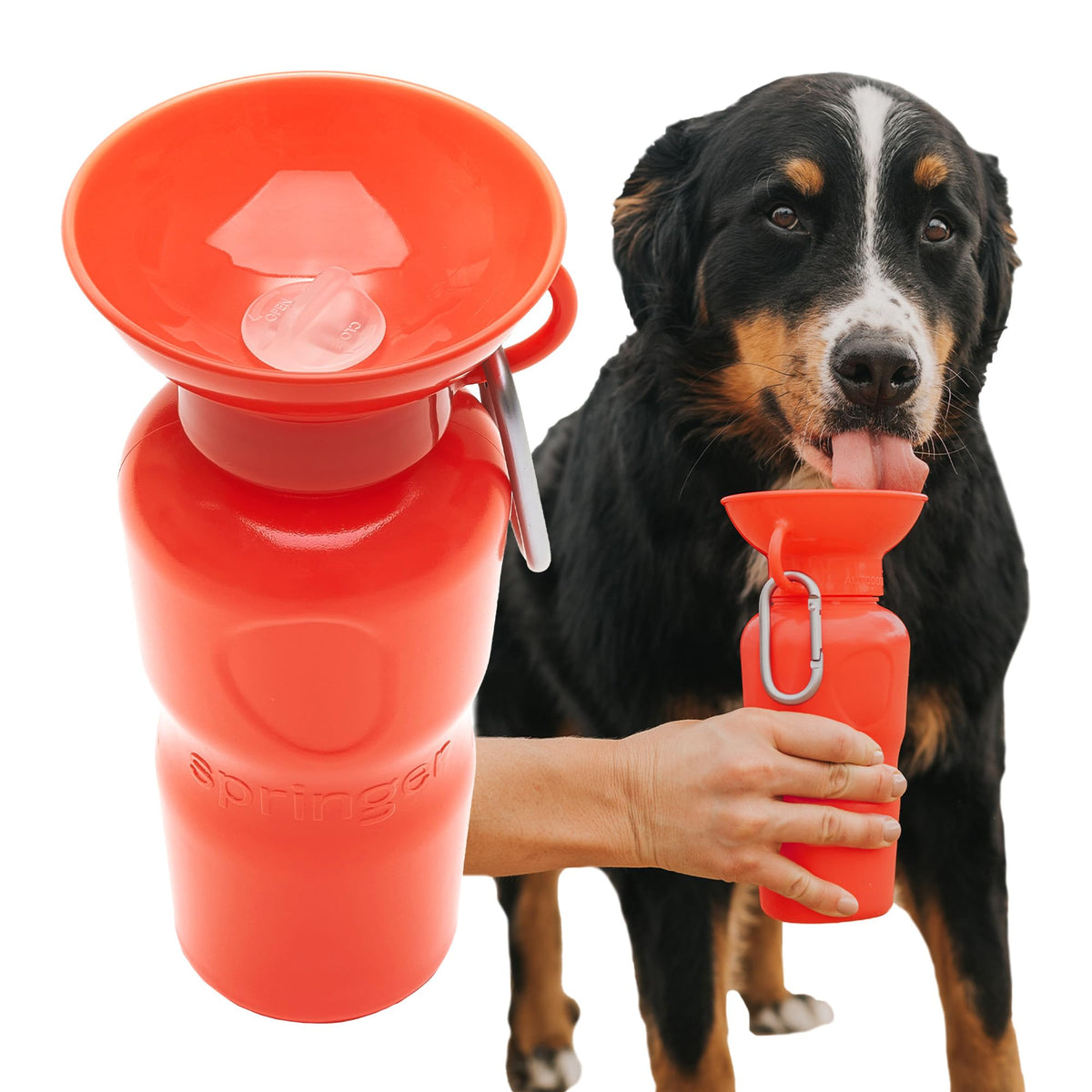 Springer Dog Water Bottle | Portable Travel Drinking Feeder Dispenser for Dogs & Puppies | As Seen on Shark Tank | Leak-Proof Bowl | BPA-Free | Outdoor Walking, Hiking & Travel | 22oz Blue