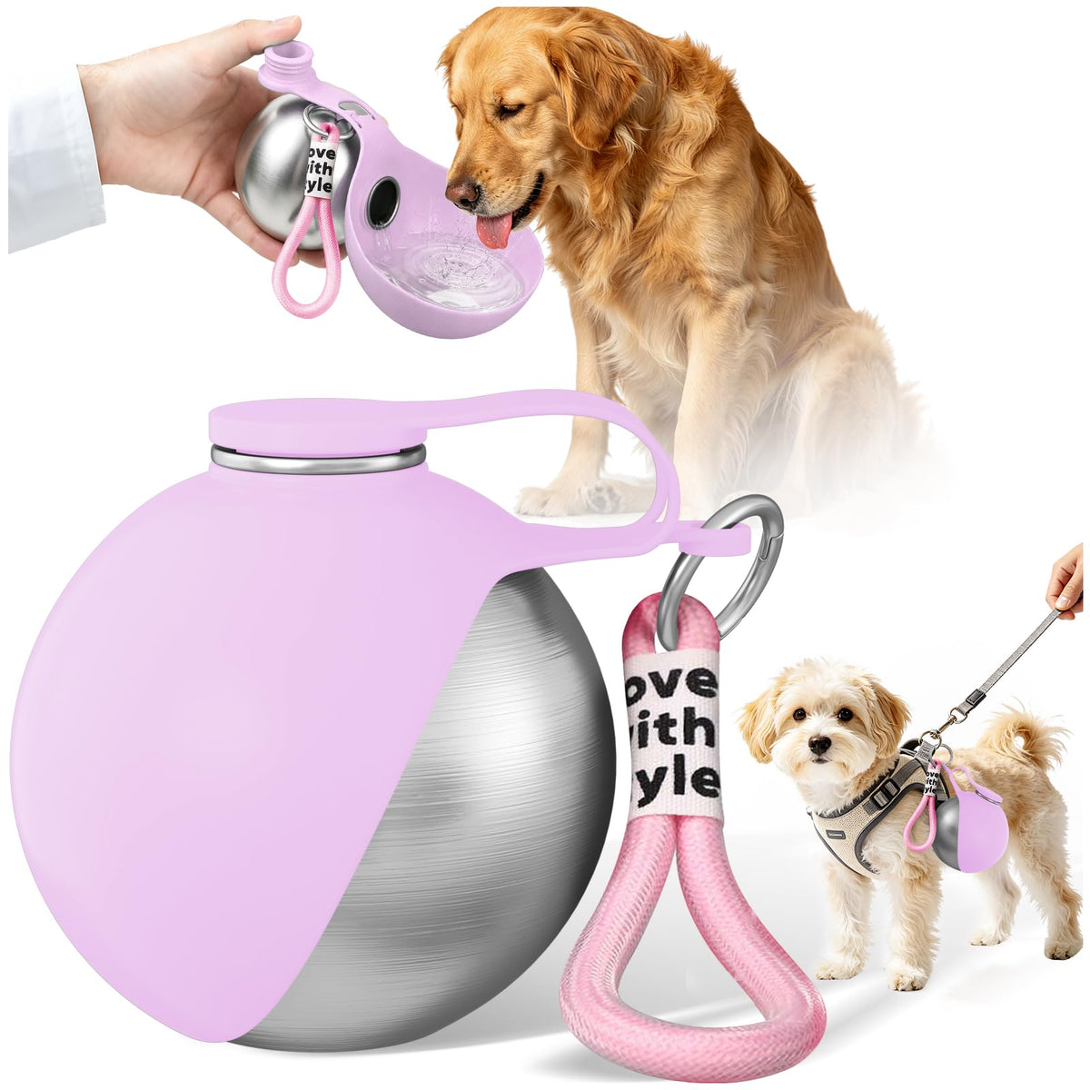 2 in 1 Dog Water Bottle with Bowl, 10oz Stainless Steel - Blue