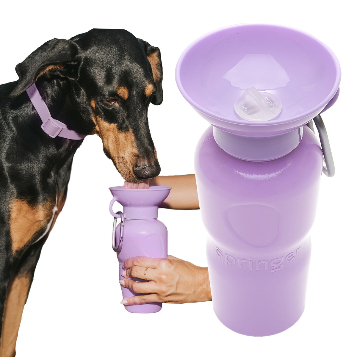Springer Dog Water Bottle | Portable Travel Drinking Feeder Dispenser for Dogs & Puppies | As Seen on Shark Tank | Leak-Proof Bowl | BPA-Free | Outdoor Walking, Hiking & Travel | 22oz Blue