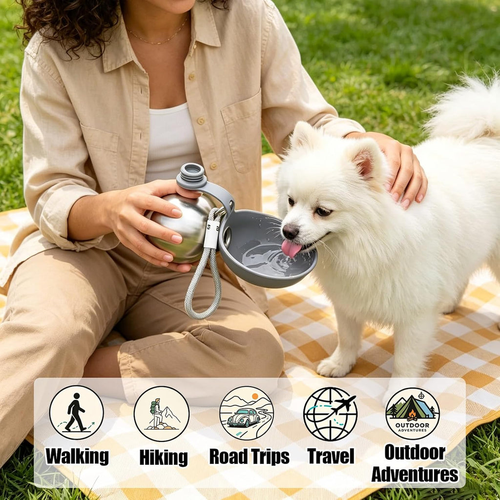 2 in 1 Portable Dog Water Bottle with Foldable Bowl 10oz Gray