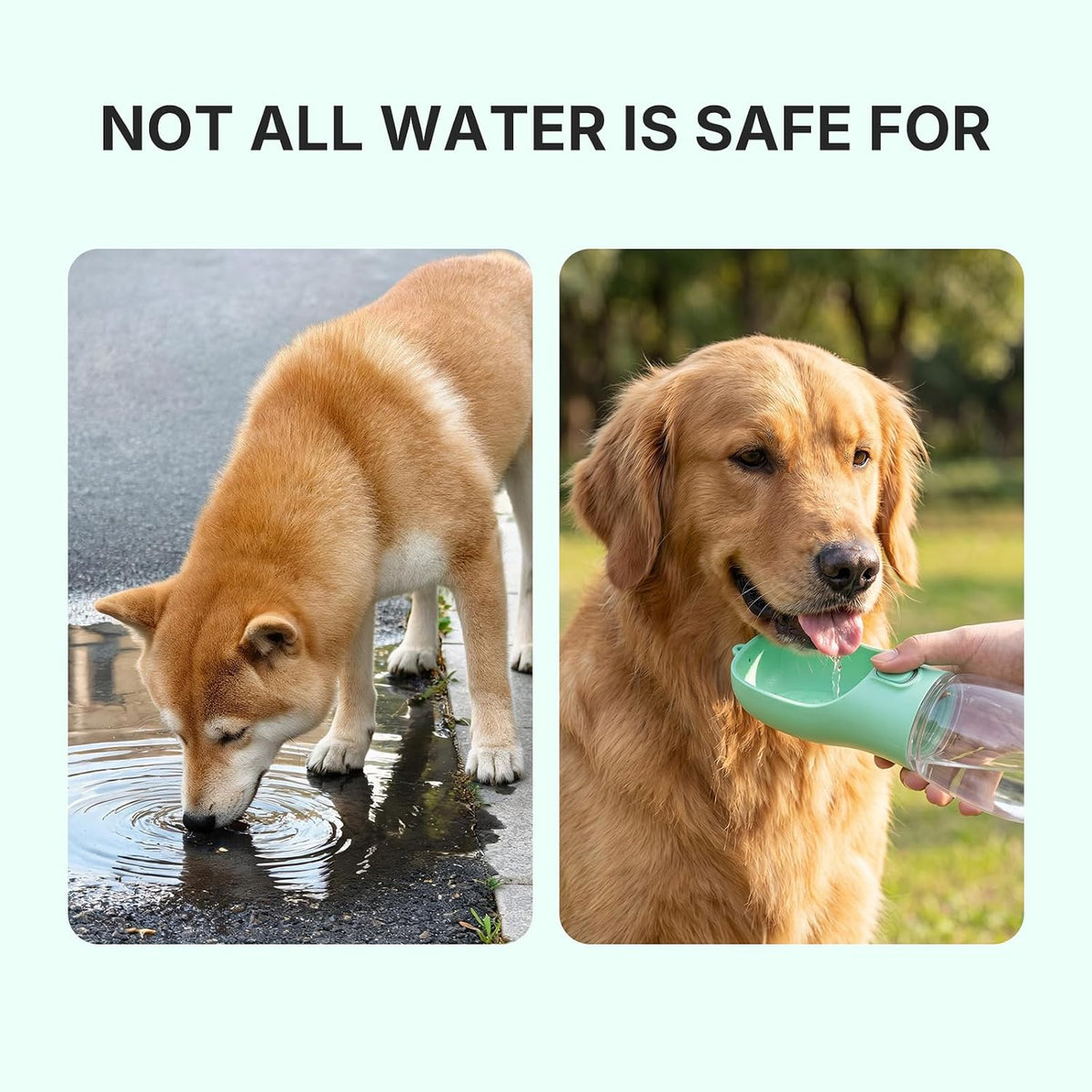 Portable Dog Water Bottle 300ml Leak Proof Pet Drinking Bottle for Dogs & Cats, Outdoor Travel Water Dispenser for Walking Hiking Camping (Lake Green)