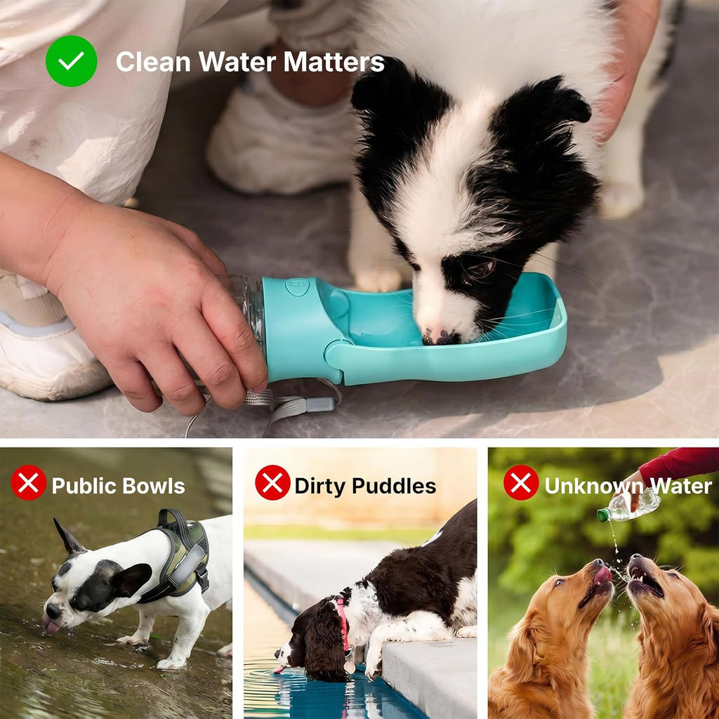 Dog Water Bottle, 350ml Foldable Pet Water Dispenser with Drinking Bowl for Cats and Dogs, Travel Water Cup