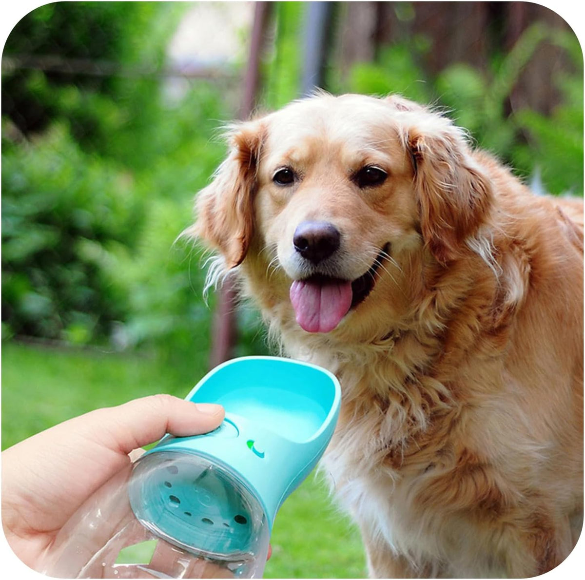 Portable Dog Water Bottle with Bowl – Leak Proof, Lightweight Travel Water Bottle for Dogs. (Blue, 350 ml)