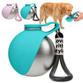 Portable Pet Water Bottle & Collapsible Dog Bowls Spill Proof Water Dispenser Cat Food Container & Dog Treat Holder, Small Size Pet Supplies Travel Accessories for Puppy