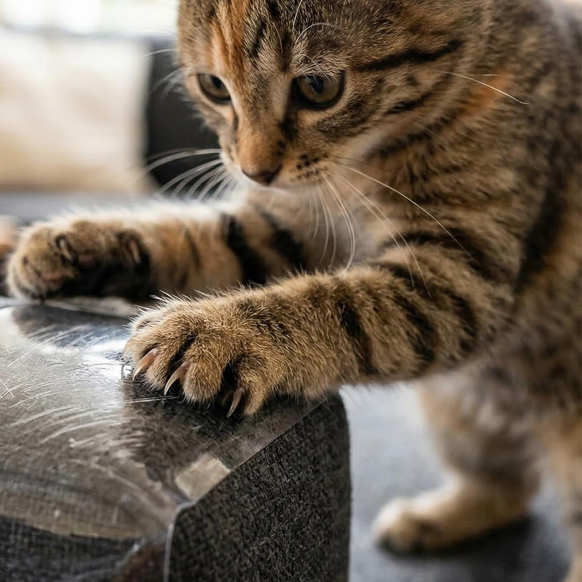 Cat Scratch Furniture Protector, Clear Flexible Plastic Adhesive Cover, Single Side Sticky Sofa Couch Guard, 7.87 x 196.8 Inches