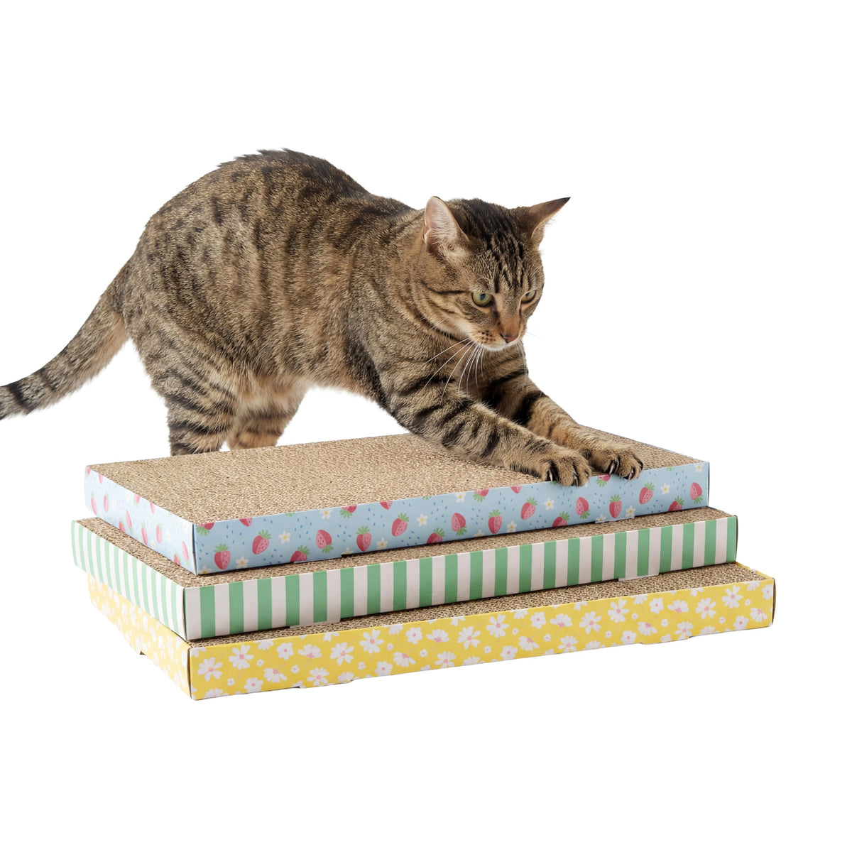 Kitty City Cat Scratch Furniture Protector Tape – 12 Large Clear Double-Sided Sticky Sheets – Cat Scratch Deterrent & Training Tape for Couch, Sofa, Chairs & Walls – Non-Toxic, Residue-Free