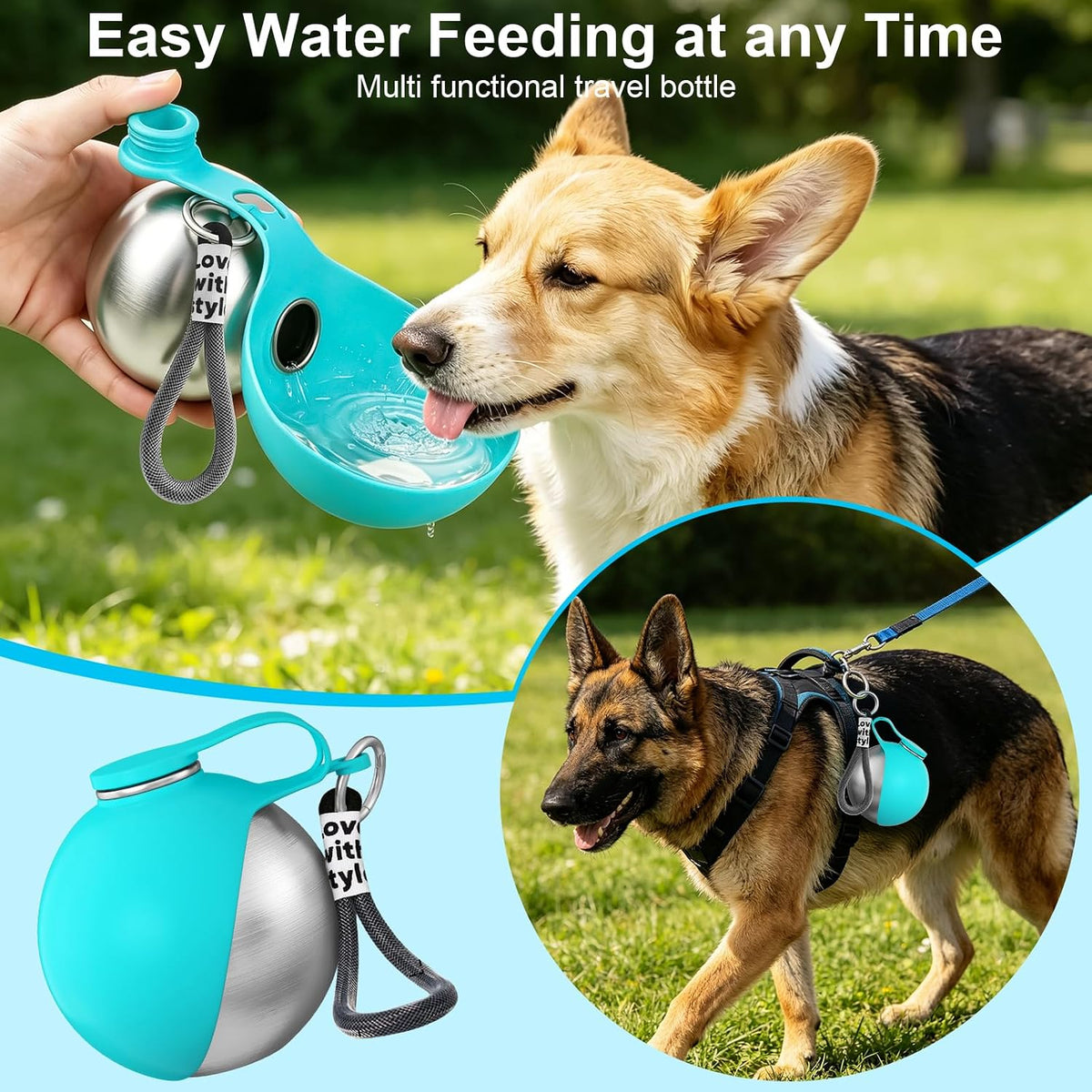 2 in 1 Dog Water Bottle with Bowl, 10oz Stainless Steel - Blue