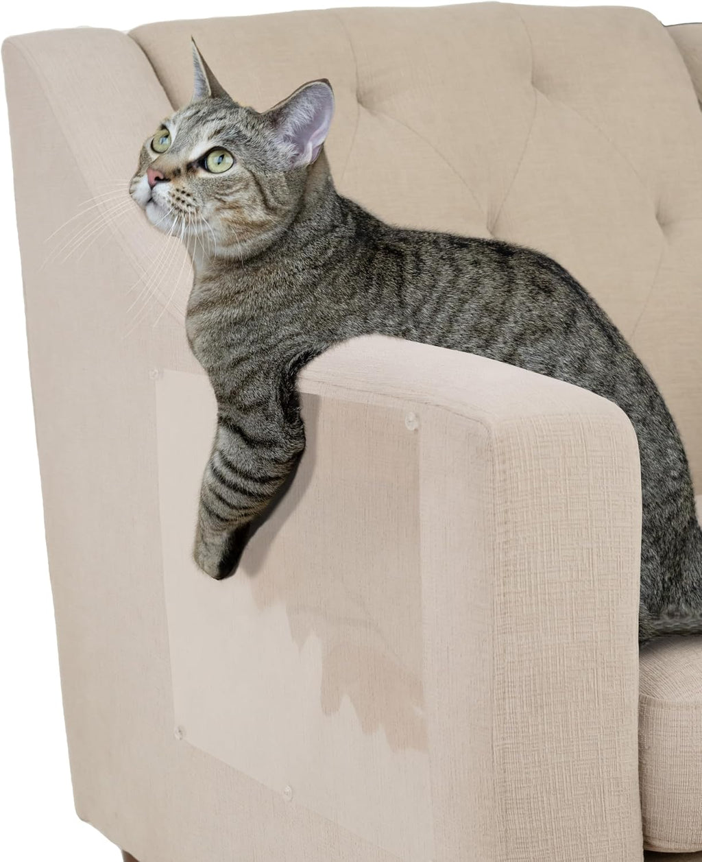 Kitty City Cat Scratch Furniture Protector Tape – 12 Large Clear Double-Sided Sticky Sheets – Cat Scratch Deterrent & Training Tape for Couch, Sofa, Chairs & Walls – Non-Toxic, Residue-Free