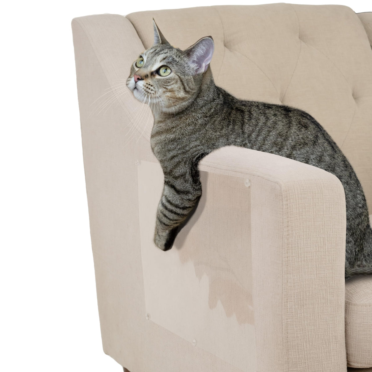 Kitty City Cat Scratch Furniture Protector Tape – 12 Large Clear Double-Sided Sticky Sheets – Cat Scratch Deterrent & Training Tape for Couch, Sofa, Chairs & Walls – Non-Toxic, Residue-Free
