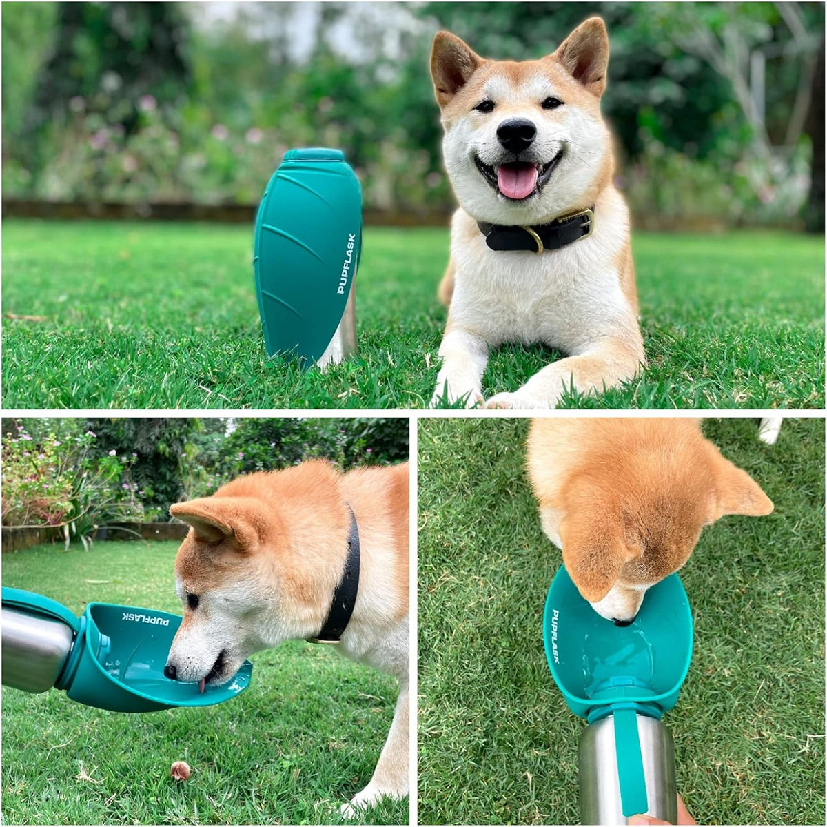 PupFlask Large Dog Water Bottle, Portable Stainless Steel Travel Bowl