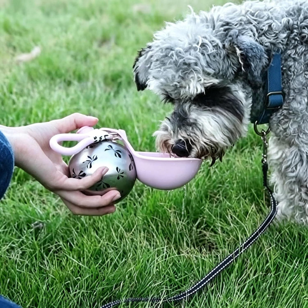 Portable Dog Water Bottle, 304 Stainless Steel Foldable Pet Water Cup, Leak-Proof Travel Water Dispenser with Foldable Silicone Bowl, 285ml Large Capacity for Dogs Cats Outdoor Walking Hiking