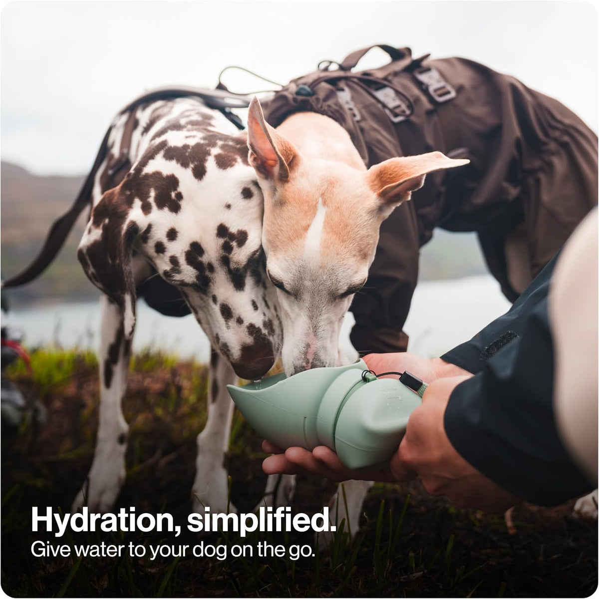SÄKER Portable Dog Water Bottle, Collapsible Water Bottle for Dogs Perfect for Walking, Hiking and Outdoors | Works as a Portable Water Bowl | Designed in Montreal - 750ml