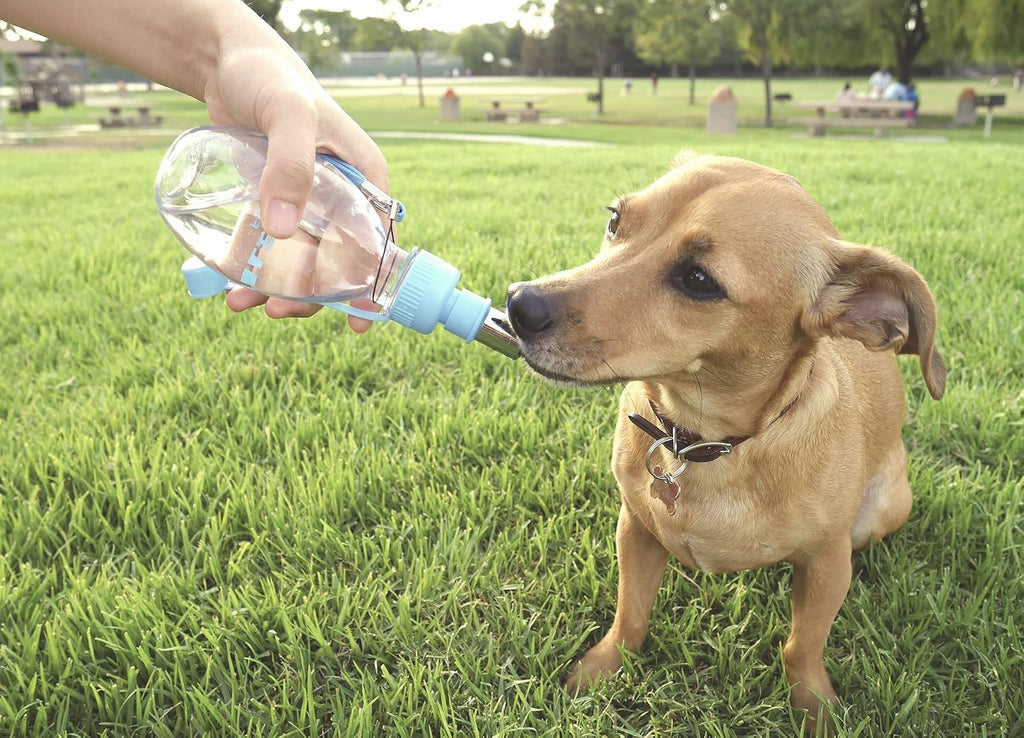 Choco Nose No-Drip Portable Travel Water Bottle for Small Dogs & Cats - Lockable Leak-Proof Design Prevents Spills in Bags & Cars, Outdoor Feeder for Puppies & Toy Breeds, 8 fl oz (C258)
