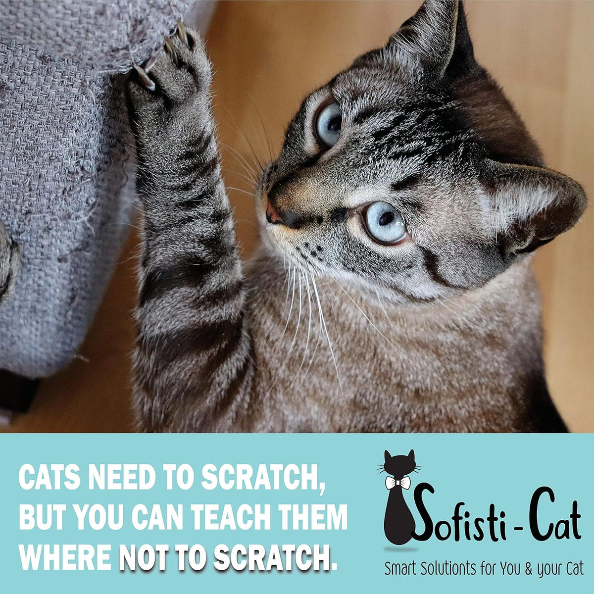 Sofisti - Cat Scratch Deterrent Tape for Furniture – 10 Double Sided Anti Scratching Sticky Tape - Cat Scratch Furniture Protector – Cat Training Tape Teaches Your Kitty Not to Scratch Your Couch